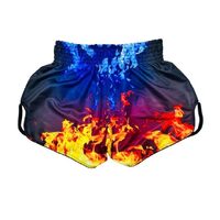 ARWUT - 'Blaze' Muay Thai Shorts - Extra Extra Small