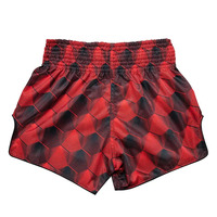 FAIRTEX - "Stealth" Red Muay Thai Shorts (BS1919) - Small