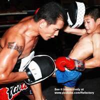 FAIRTEX - Aero Focus Mitts (FMV11)