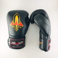 ARWUT - BG2 Boxing Gloves - Black/Black - 12oz