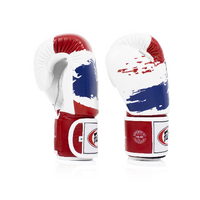 Fairtex Thai Pride Boxing Gloves (BGV1) - 8oz