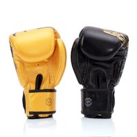 FAIRTEX - "Harmony Six" Boxing Gloves (BGV26) - 12oz