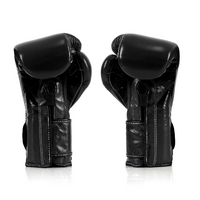 FAIRTEX - "Heavy Hitter" Mexican Style Boxing Gloves (BGV9) - Black/16oz