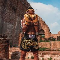 FAIRTEX - Gold Falcon Limited Edition Boxing Gloves (BGV1) - 8oz