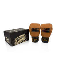 FAIRTEX Legacy Boxing Gloves (BGV21) - 8oz