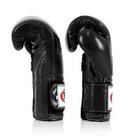 FAIRTEX - "Heavy Hitter" Mexican Style Boxing Gloves (BGV9) - Black/16oz