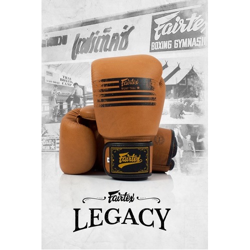 FAIRTEX Legacy Boxing Gloves (BGV21) - 8oz